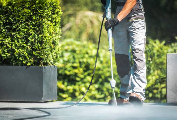 Best Pool Deck Cleaning  in La Honda, CA