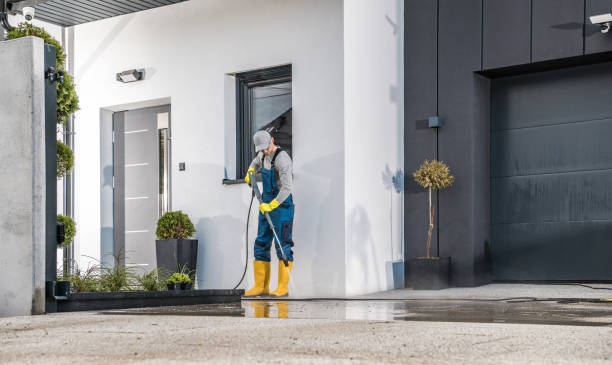 Best Driveway Pressure Washing  in La Honda, CA